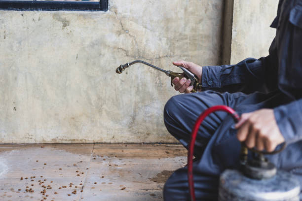 Pest Control Cost in Brookdale, SC