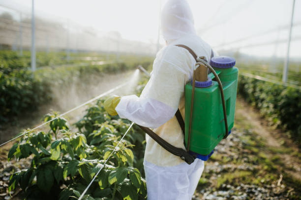 Best Emergency Pest Control  in Brookdale, SC